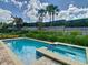 Beautiful swimming pool with a spa, surrounded by lush landscaping and privacy hedges at 370 Pendant Ct, Kissimmee, FL 34747