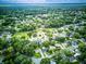 Aerial view showcases lush greenery and charming homes in a well-established neighborhood at 2031 Wekiva Reserve Blvd, Apopka, FL 32703