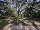 Large backyard featuring mature trees and green space at 2342 Alice Ave, Eustis, FL 32726