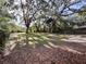 Spacious backyard featuring mature trees, lush greenery, and room for outdoor activities at 2342 Alice Ave, Eustis, FL 32726