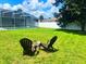 Well-maintained backyard perfect for relaxing with chairs on the lawn at 2650 Autumn Creek Cir, Kissimmee, FL 34747