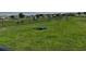 Fenced community dog park with grassy areas, benches, and agility equipment at 3823 Spruce Creek Dr, Lakeland, FL 33811