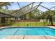 Relax in the sparkling pool with a screened enclosure and views of the beautifully landscaped backyard at 548 Timber Ridge Dr, Longwood, FL 32779