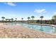 Sparkling community swimming pool featuring lounge chairs and palm trees under a bright blue sky at 15577 Willow Arbor Cir, Orlando, FL 32824
