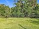 Lush green backyard with healthy grass and black metal fencing, perfect for privacy and relaxation at 2247 Marsh Sedge Ln, Winter Park, FL 32792