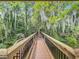 Scenic boardwalk path through lush greenery, offering a peaceful nature walk at 2247 Marsh Sedge Ln, Winter Park, FL 32792