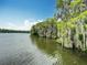 Picturesque waterfront with trees, Spanish moss, and clear water view under a sunny sky at 2247 Marsh Sedge Ln, Winter Park, FL 32792