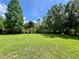 Expansive backyard featuring lush green grass, mature trees, and well-maintained landscaping at 2274 Foliage Oak Ter, Oviedo, FL 32766