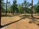 Scenic view of a park with tall trees, open space covered with fallen leaves and shaded picnic areas at 2312 S Summerlin Ave, Orlando, FL 32806