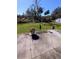 Backyard with a concrete patio and a decorative heron statue at 3021 Norvell Ct, Deltona, FL 32738