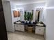 Bathroom with double sinks, mirrors, cabinets, and plants at 3021 Norvell Ct, Deltona, FL 32738