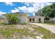 Charming single-story home with a curved driveway, lush palm tree, and bright exterior at 811 Osceola Trl, Casselberry, FL 32707