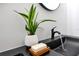 Modern bathroom with a sleek black sink, stylish faucet, and a decorative plant at 8111 Lianna Dr, Orlando, FL 32822