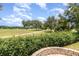 Scenic view of the golf course from the back yard, offering lush greenery and open space at 8162 Prestbury Dr, Orlando, FL 32832