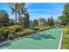 Bocce ball court with lush landscaping at 8955 Fluffy Lie Ct, Davenport, FL 33896