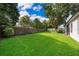 Large fenced backyard featuring a lush lawn and mature trees at 1173 Valley Creek Run, Winter Park, FL 32792
