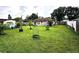 Large backyard with mature trees, small plants, and new grass at 12207 Florida Woods Ln, Orlando, FL 32824