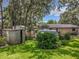 Spacious backyard with lush green grass, mature trees, and a storage shed, creating a private and serene outdoor space at 1850 Lakeshore Cir, Longwood, FL 32750