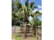 Backyard features a beautiful palm tree and a tall wooden fence for privacy at 34 W Bob White St, Apopka, FL 32712