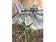 Charming patio area features a small pineapple garden and outdoor seating with a view of the well-maintained landscaping at 34 W Bob White St, Apopka, FL 32712