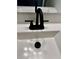 Close up of a modern sink with matte black fixtures at 4800 Reginald Rd, Orlando, FL 32829