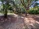 Large home's backyard with mature trees at 142 E 9Th St, Chuluota, FL 32766