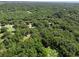 Lush, expansive green canopy surrounds several houses, showcasing a serene residential area at 18166 Lynbrook Rd, Orlando, FL 32820