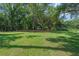 Expansive backyard featuring lush green grass and mature shade trees create a peaceful retreat at 18166 Lynbrook Rd, Orlando, FL 32820