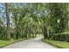 Picturesque view of a tree-lined street, offering a tranquil and inviting atmosphere at 387 Devon Pl, Lake Mary, FL 32746