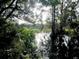 Scenic lake view surrounded by lush greenery, creating a tranquil and natural setting at 5521 Makoma Dr, Orlando, FL 32839