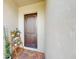 Stunning wooden front door entrance with plants and welcome mat, offering a warm greeting at 14124 Dove Hollow Dr, Orlando, FL 32824