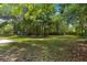 Lush backyard filled with trees, offering shade and privacy, creating a serene and natural outdoor environment at 167 S Sheridan Ave, Deland, FL 32720