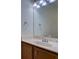 Bathroom featuring light wood cabinets, a large mirror, and modern fixtures at 17322 Chateau Pine Way, Clermont, FL 34711
