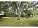 Expansive backyard featuring mature trees, lush greenery, and ample space for outdoor activities and relaxation at 26 Canter Club Ct, Debary, FL 32713