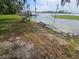 Picturesque view of the shoreline with mature trees and a clear lake, perfect for relaxation and recreation at 606 Butler St, Windermere, FL 34786