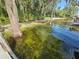 Picturesque waterfront with sandy shoreline, mature cypress trees, and clear, calm waters at 606 Butler St, Windermere, FL 34786