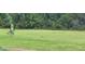 Backyard view of a large field with trees in the background at 10928 Tangora St, Orlando, FL 32825