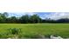 Expansive green field features lush grass and scattered foliage for recreational or agricultural pursuits at 10928 Tangora St, Orlando, FL 32825