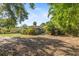 Expansive backyard with lush tropical landscaping and mature trees providing shade and privacy at 1104 W Marjorie St, Lakeland, FL 33815