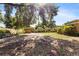 Large backyard with a wooden fence and mature trees creating a private outdoor space at 1104 W Marjorie St, Lakeland, FL 33815