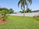 Well-maintained yard with lush grass, palm trees, privacy fence, and tropical landscaping at 14322 Pine Cone Trl, Clermont, FL 34711