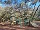 Community playground featuring swings and slides, surrounded by mature trees at 1441 Foxtail Ct, Lake Mary, FL 32746