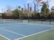 Community tennis courts providing recreational opportunities for residents at 1441 Foxtail Ct, Lake Mary, FL 32746