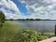 Scenic lake view with water lilies and lush greenery, showcasing the tranquil beauty of this waterfront community at 15500 Fountain Cove Ct, Winter Garden, FL 34787