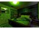 Unique themed bedroom featuring green walls, decorative accents, and a distinctive decor scheme at 2041 Lacie Jo Ln, Kissimmee, FL 34743