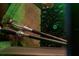 Themed decor features wands and an eye book inside a cabinet for a magical ambience at 2041 Lacie Jo Ln, Kissimmee, FL 34743