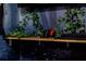 The game room features custom shelving with vines, game controllers, and a console at 2041 Lacie Jo Ln, Kissimmee, FL 34743