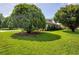 Large backyard featuring lush green grass and mature trees, perfect for outdoor activities and relaxation at 2334 W Doris St, Kissimmee, FL 34741