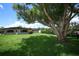Lush backyard with a mature tree, vibrant green lawn, and a well-maintained home at 2417 Bayfront Pkwy, Orlando, FL 32806