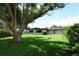 Expansive backyard with lush green grass, mature shade trees, and a charming home exterior at 2417 Bayfront Pkwy, Orlando, FL 32806